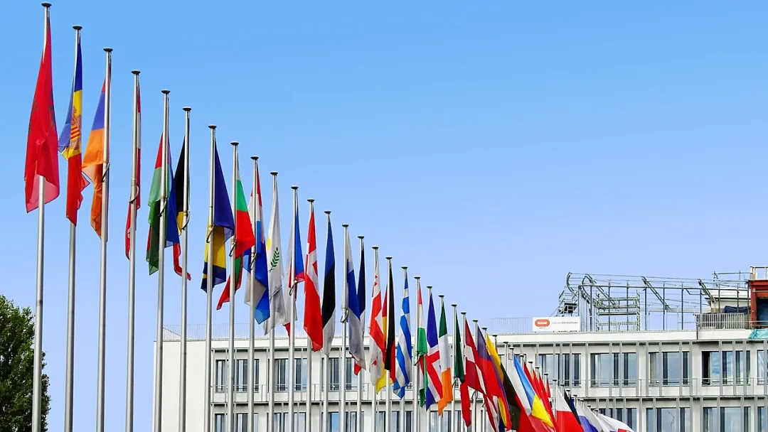 0762bddd-67aa-4b61-b736-ab74ffb309e5 0762bddd-67aa-4b61-b736-ab74ffb309e5